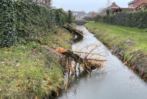 Probleem blijft aan Vrouwenhof knagen